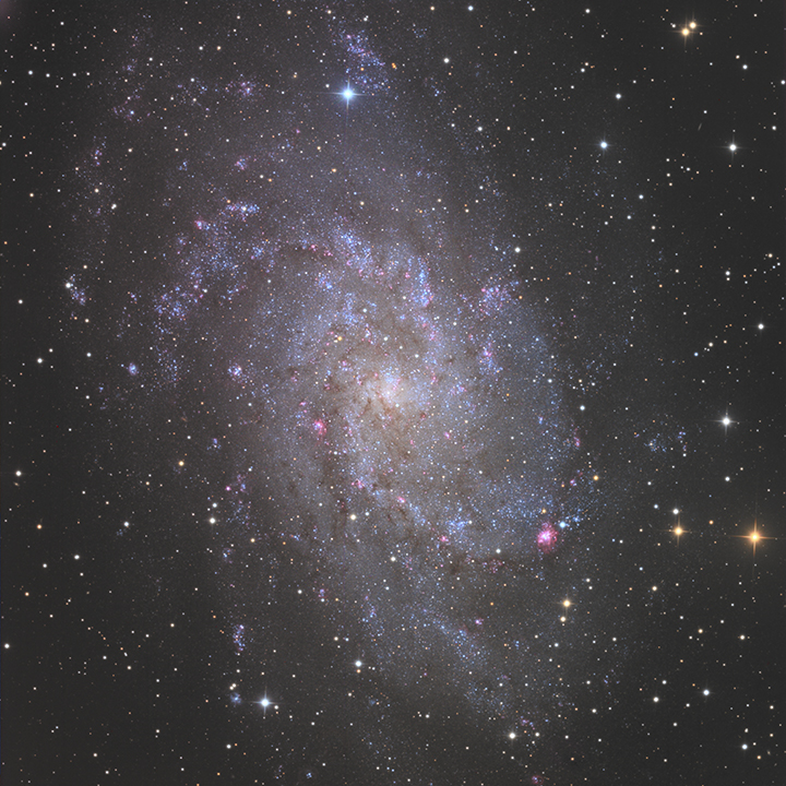 M 33